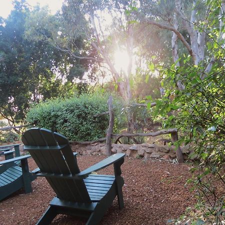 Bentwood Olive Grove Accommodation Greenough Habitación foto